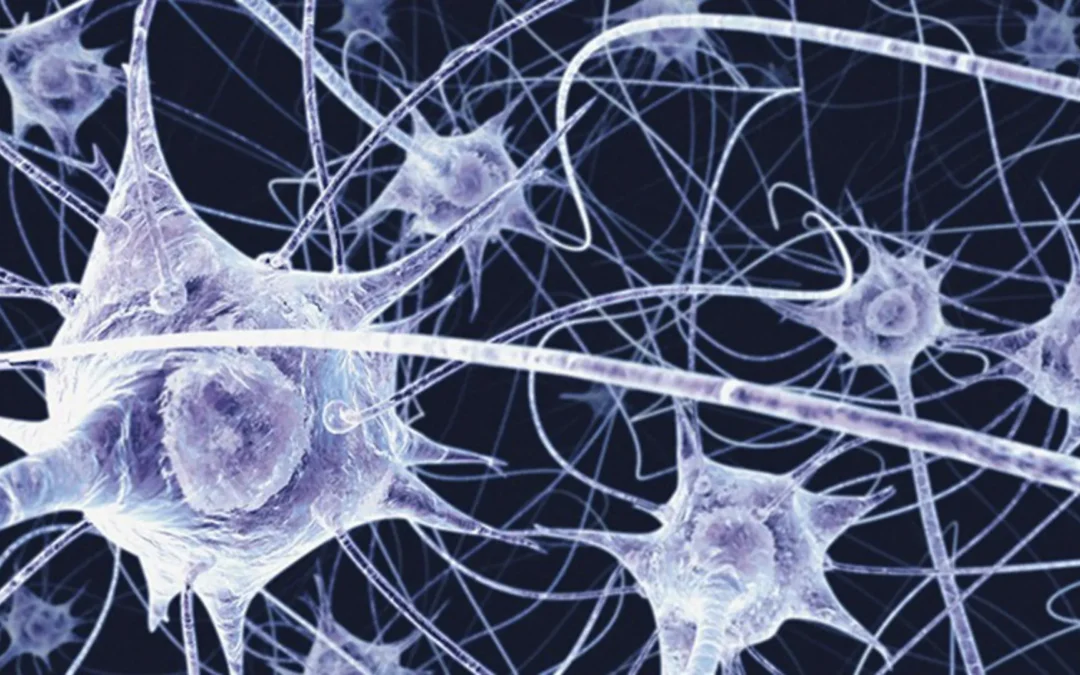 Día internacional de las enfermedades neuromusculares