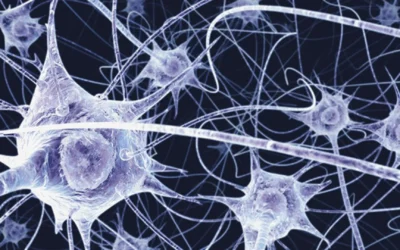 Día internacional de las enfermedades neuromusculares